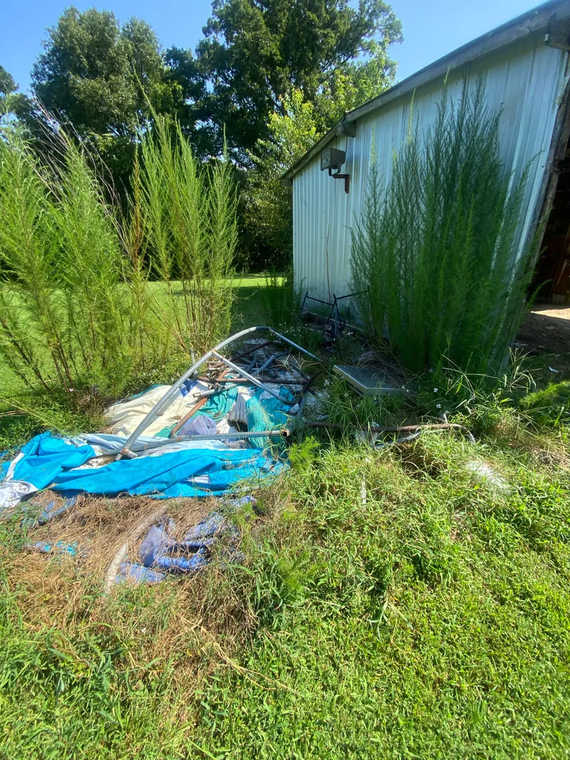 Debris in tall grass beside a metal building: a collapsed canopy frame, torn blue and white tarps, lengths of pipe and a rusted metal frame, with cedar saplings growing through it.