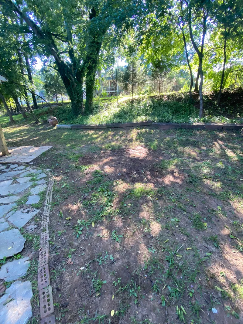 The same patch of lawn with the pile gone, down to bare dirt and grass, with the stone path and timber edging still in frame.
