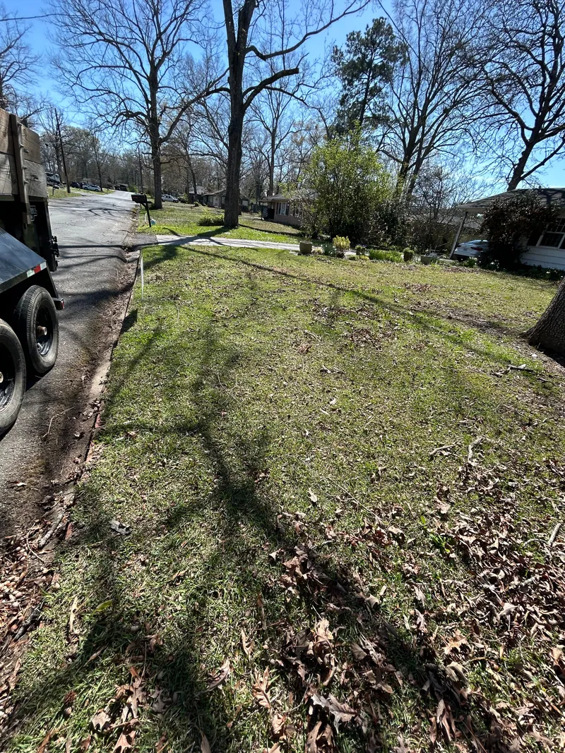 Black dump trailer parked at the street beside a front yard raked down to grass, with dry leaves scattered under bare winter trees.